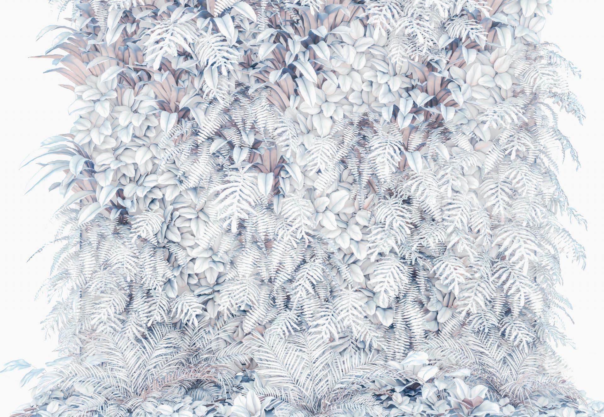 Duvar Kağıdı Modelleri