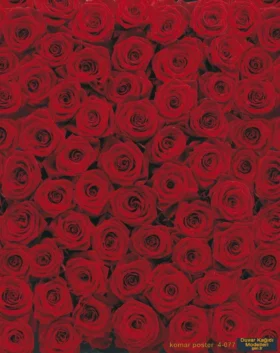 Alternative view of Komar Poster 40 4-077