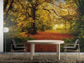 Komar Poster 80 8-068