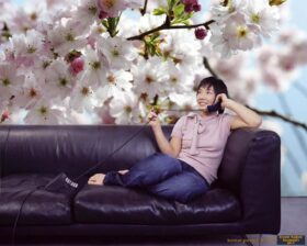 Komar Poster 85 8-507