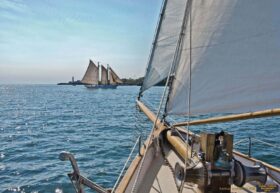 Alternative view of Komar Poster 85 8-526