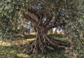 Alternative view of Komar Poster 85 8-531