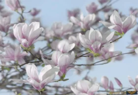 Alternative view of Komar Poster 87 8-738