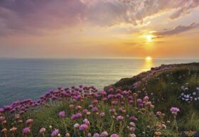 Alternative view of Komar Poster 89 8-901