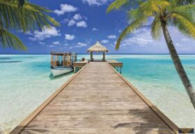 Alternative view of Komar Poster 89 8-921