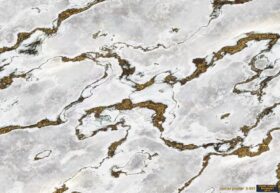 Alternative view of Komar Poster 89 8-981