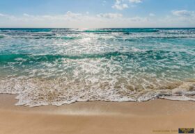 Alternative view of Komar Poster 89 8-983