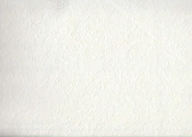 Seela Boyanabilir- 6554 Duvar Kağıdı 25m²