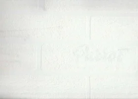 Seela Boyanabilir- 8401 Duvar Kağıdı 25m²