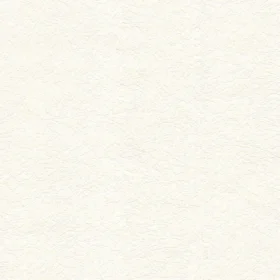 Decowall Astor Paint 1 Boyanabilir Duvar Kağıdı