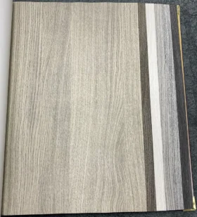 Ankawall Vision 2402-1 Duvar Kağıdı