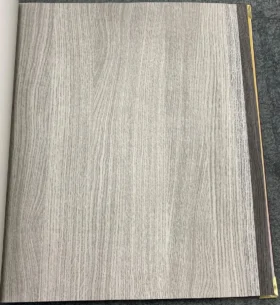 Ankawall Vision 2402-2 Duvar Kağıdı