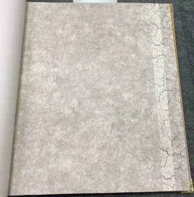 Ankawall Vision 2403-1 Duvar Kağıdı