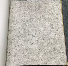 Ankawall Vision 2403-2 Duvar Kağıdı