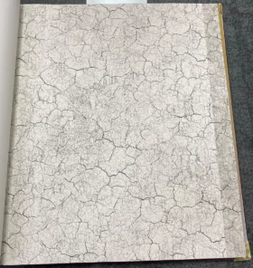 Ankawall Vision 2404-2 Duvar Kağıdı