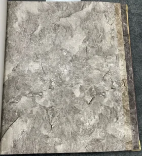 Ankawall Vision 2412-3 Duvar Kağıdı