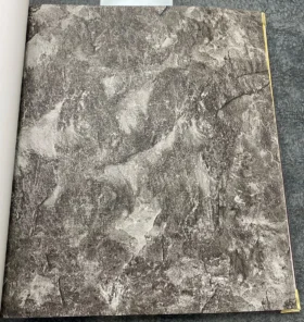 Ankawall Vision 2412-5 Duvar Kağıdı