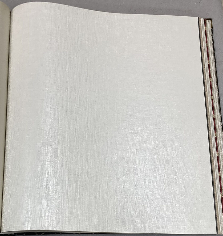 Beyaz Duvar Kağıdı