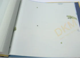 AdaWall Ada Kids 8907-2 Duvar Kağıdı Mavi Uçak Desenli