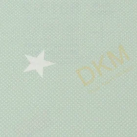 Alternative view of AdaWall Ada Kids 8912-2 Duvar Kağıdı Yeşil Aquaman