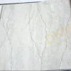 Barberry 311- 311060 İthal Duvar Kağıdı 16m²
