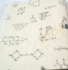 DecoWall Deco Junior 1211-03 formül Duvar Kağıdı