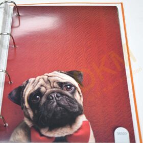 Scandatex Drops S6503 Boyanabilir Cam Tekstili 30m² Seri Sonu