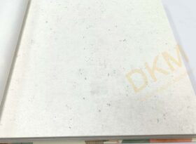 İthal Beltesto B11-2 520828 Düz beton Duvar Kağıdı 5m²