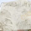 İthal Beltesto B12-1 416145 Yaprak Duvar Kağıdı 5m²