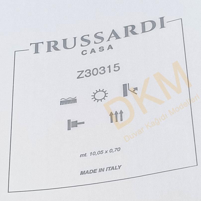 İthal Trussardi T12-1 Z30315 İnce şerit çizgili Duvar Kağıdı 7m² - Görsel 3