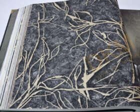 Ravena Rising 202403-6 Yaprak Duvar Kağıdı 16m²